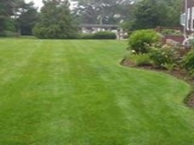 Affordable Landscape By J & R