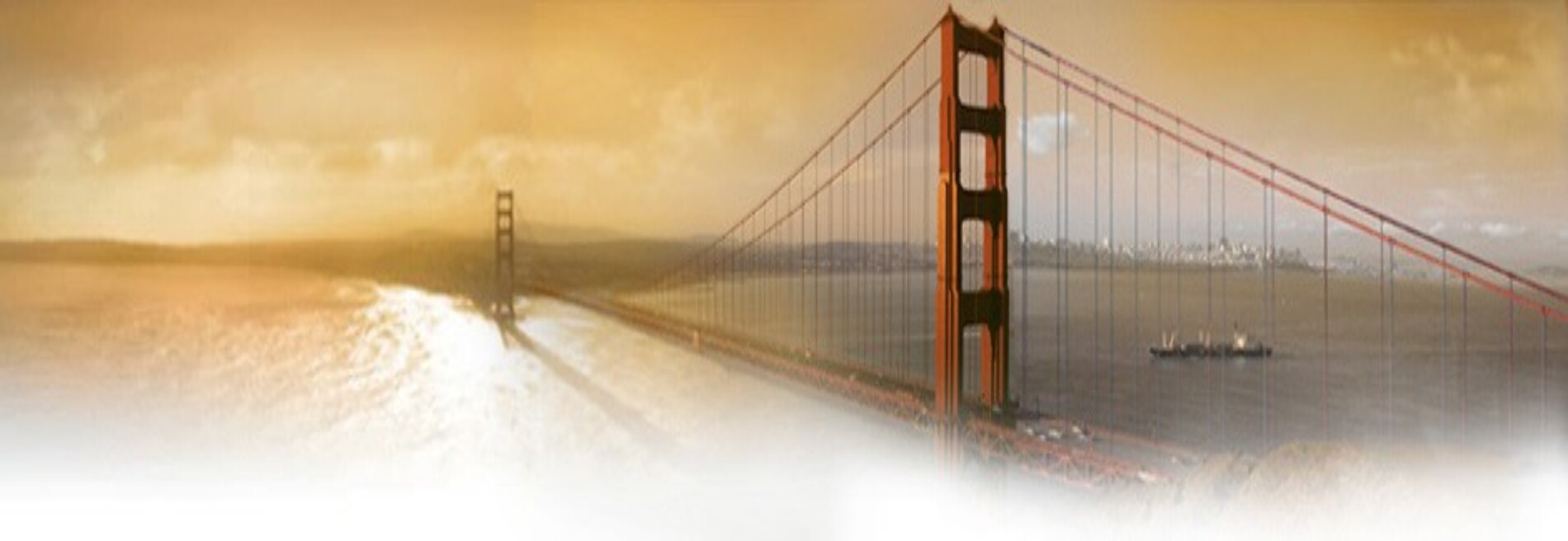American National Insurance Su