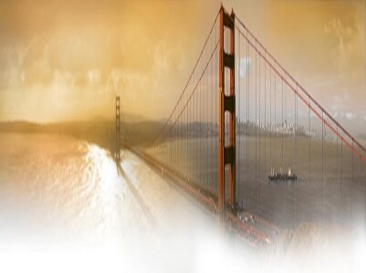 American National Insurance Su