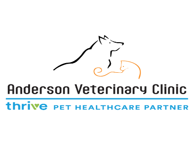 Anderson Veterinary Clinic, A Thrive Pet Healthcare Partner