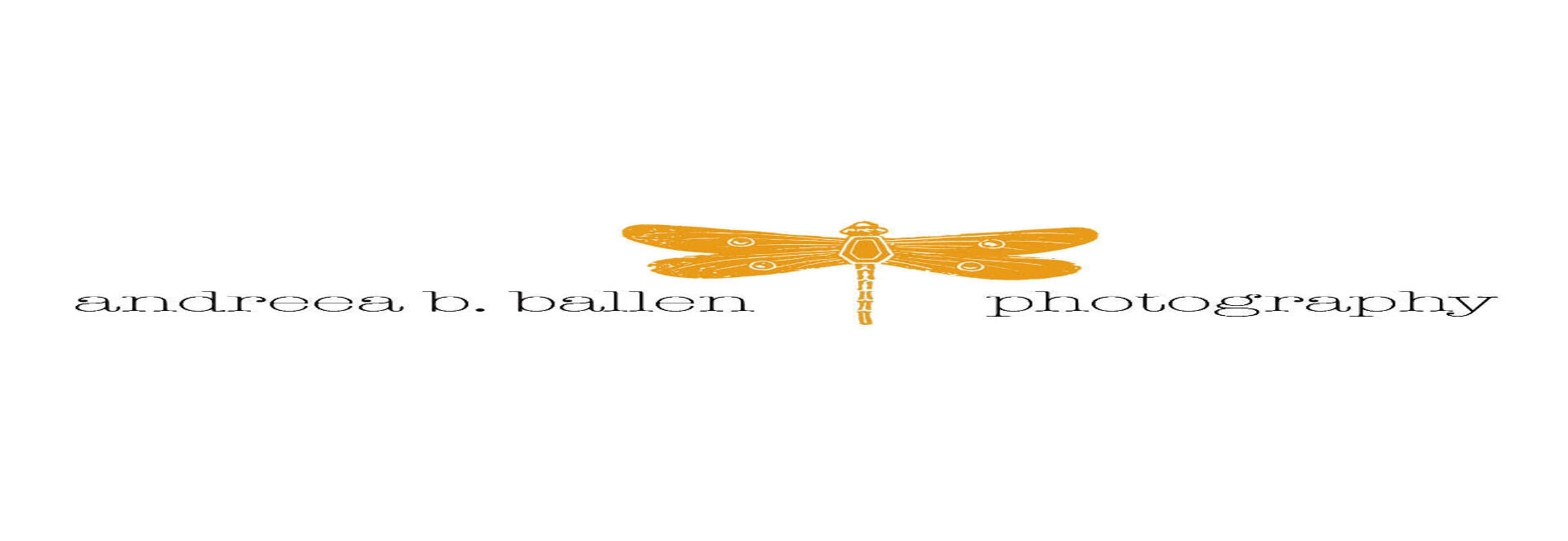 Andreea B Ballen Photography