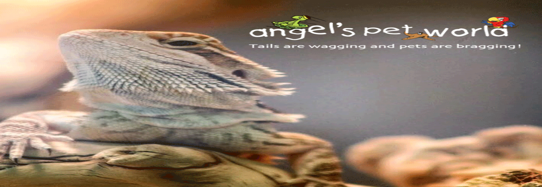 Angel's Pet World