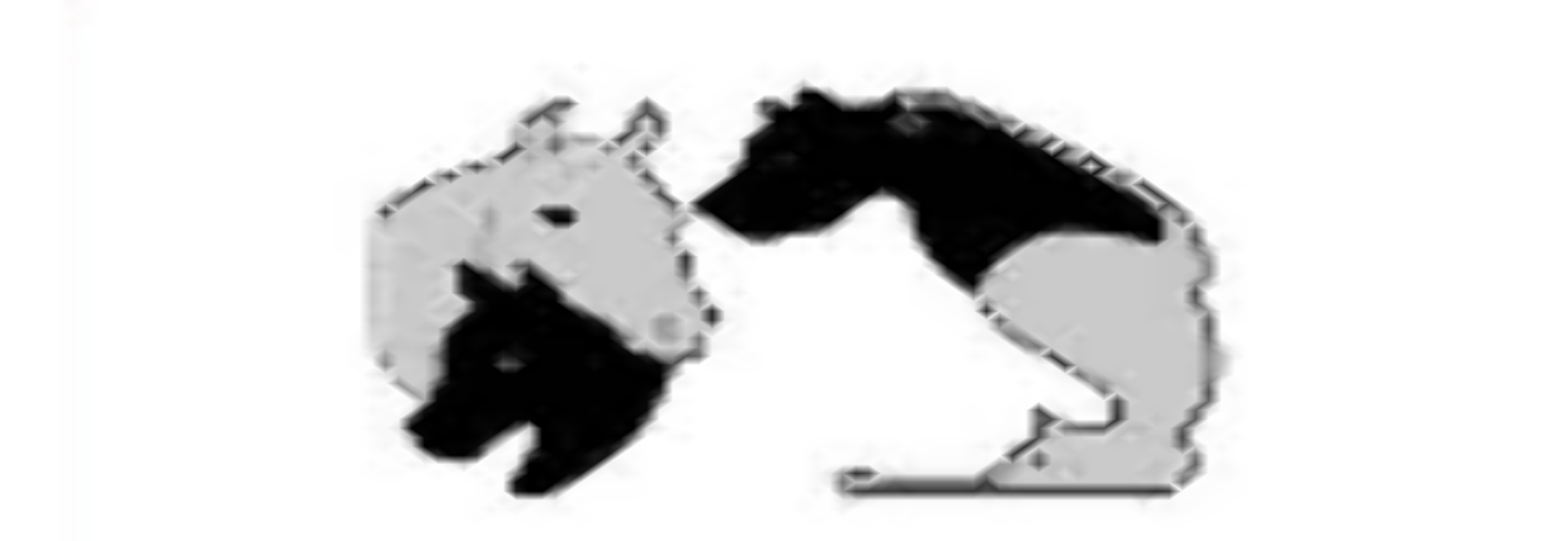 Animal Hospital Of Gurnee The P C