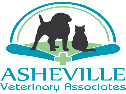 Asheville Veterinary Associates - West