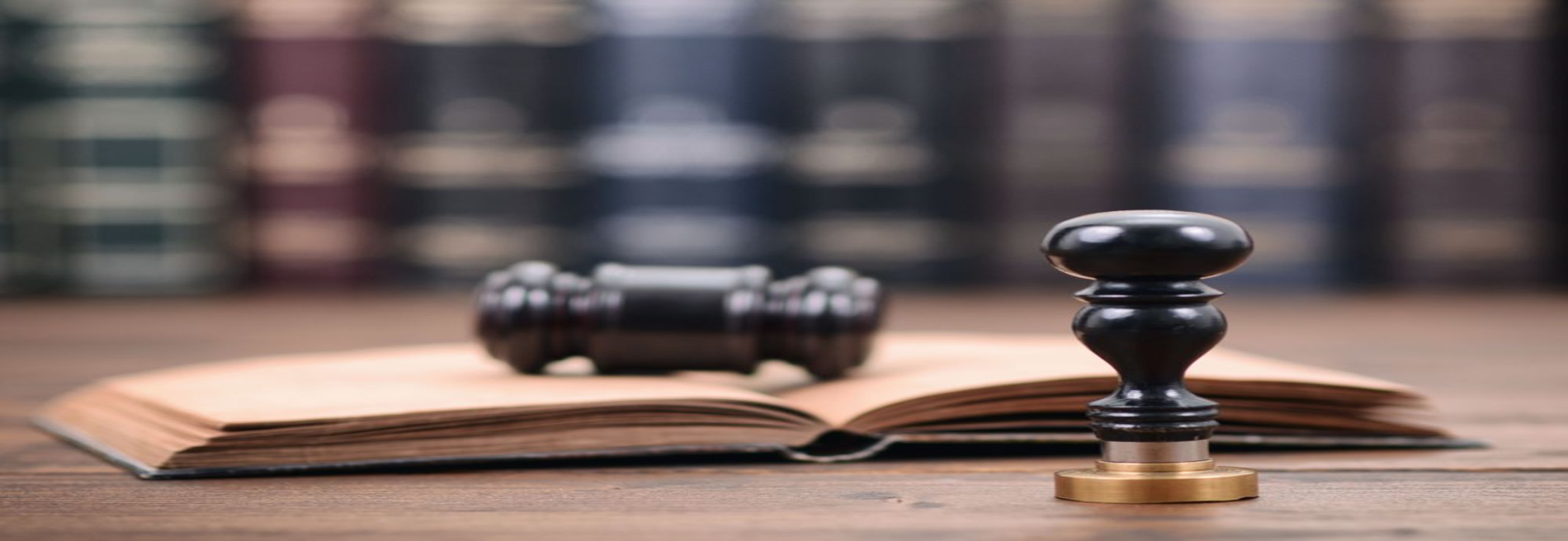 Attorney David F. Neilsen, LLC