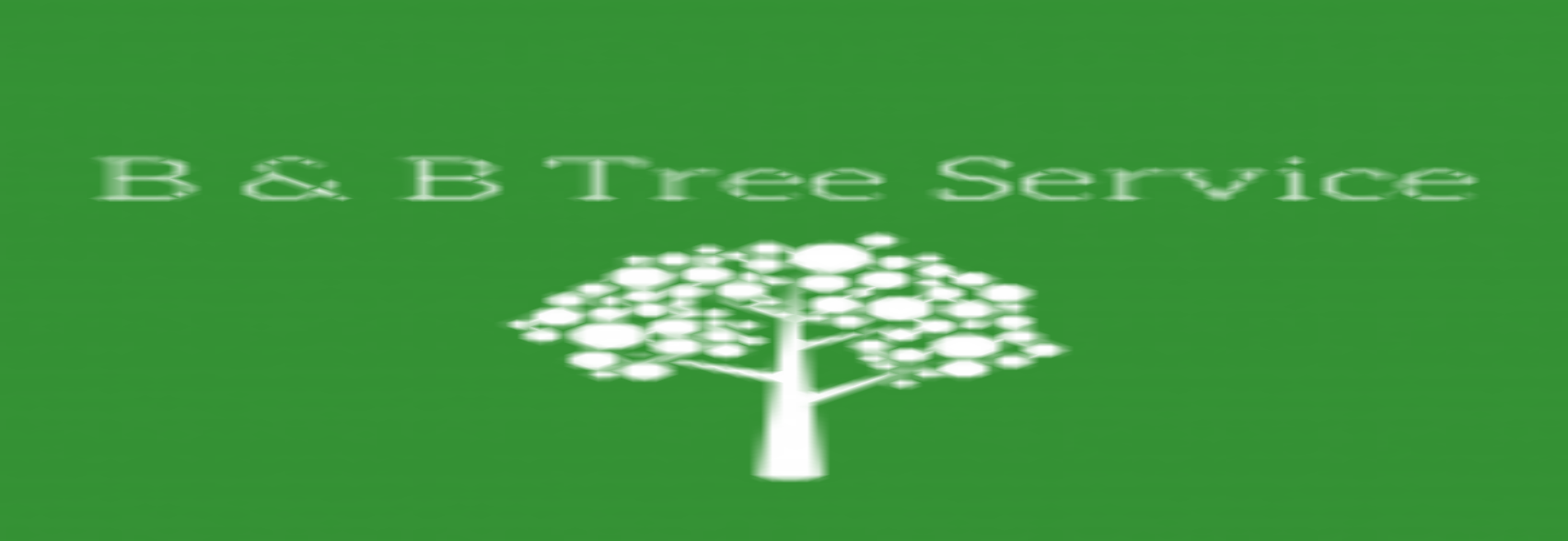 B & B Tree Service