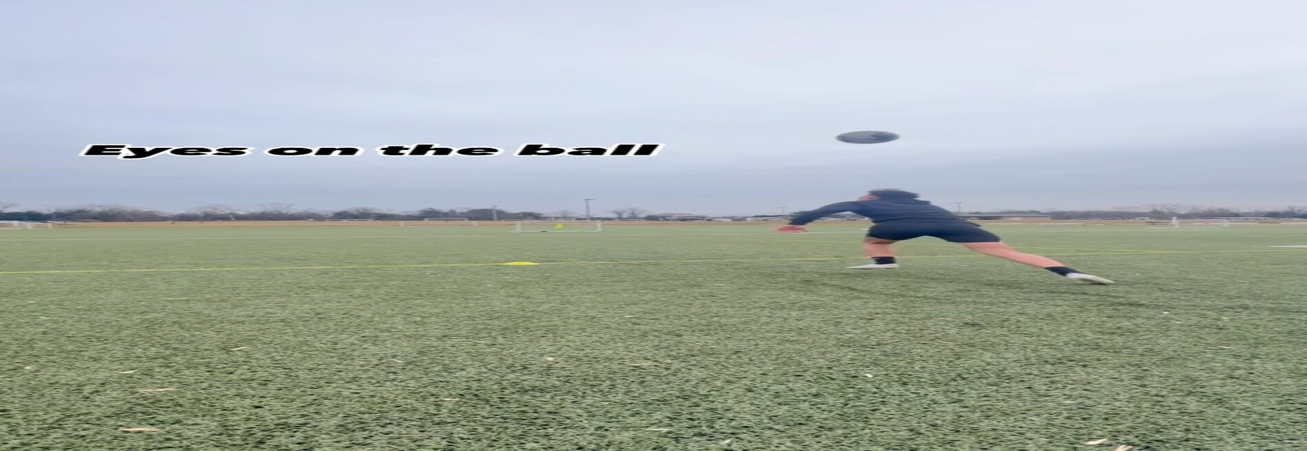 B Elite Performance