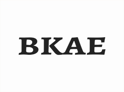 B & K Auto Enhancement LLC