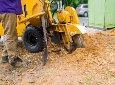B&L Tree and Lawn Services