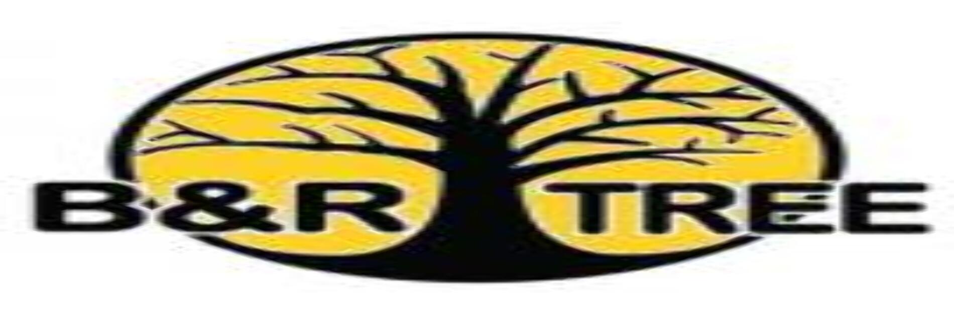 B&R Tree Care