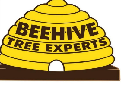Beehive Tree Experts