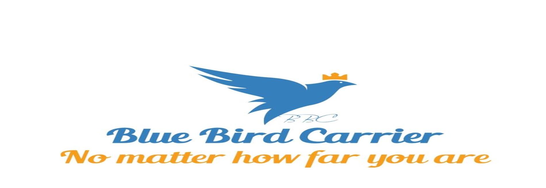 Blue Bird Carrier