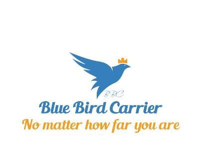 Blue Bird Carrier