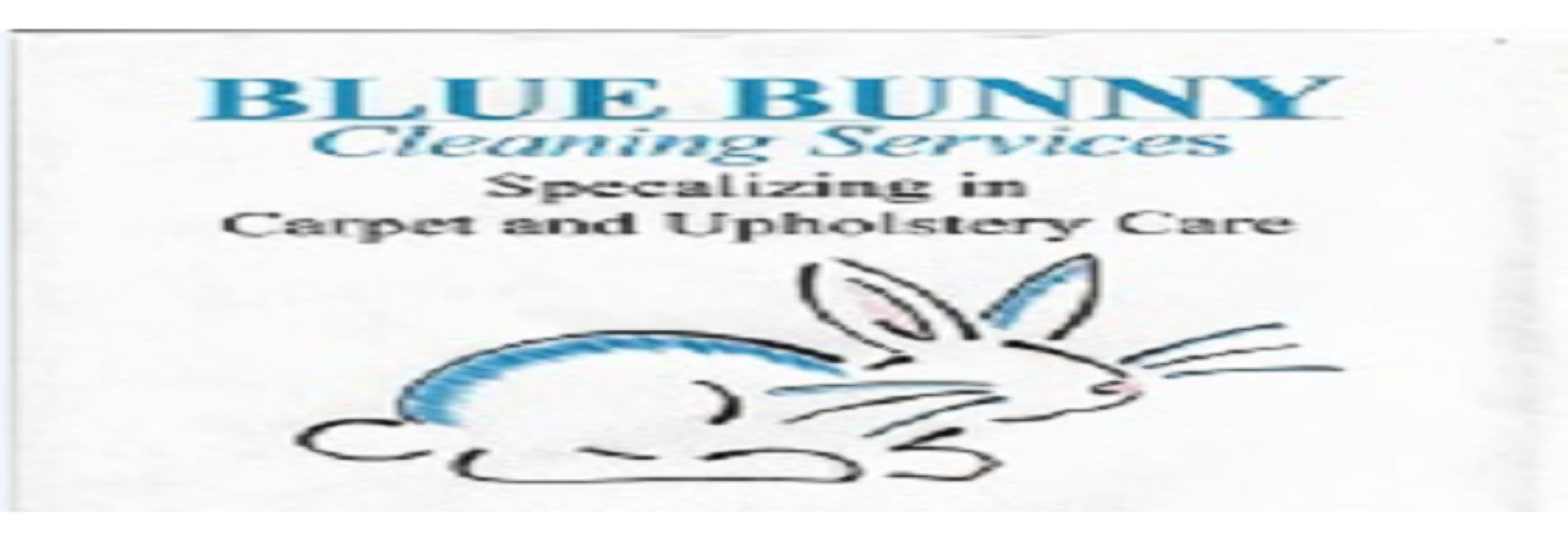 Blue Bunny Cleaning Service