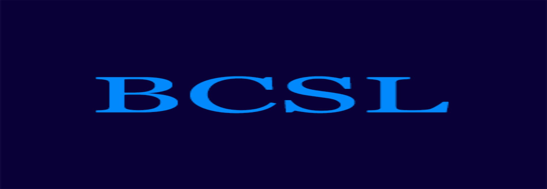 Blue Castle Systems LLC
