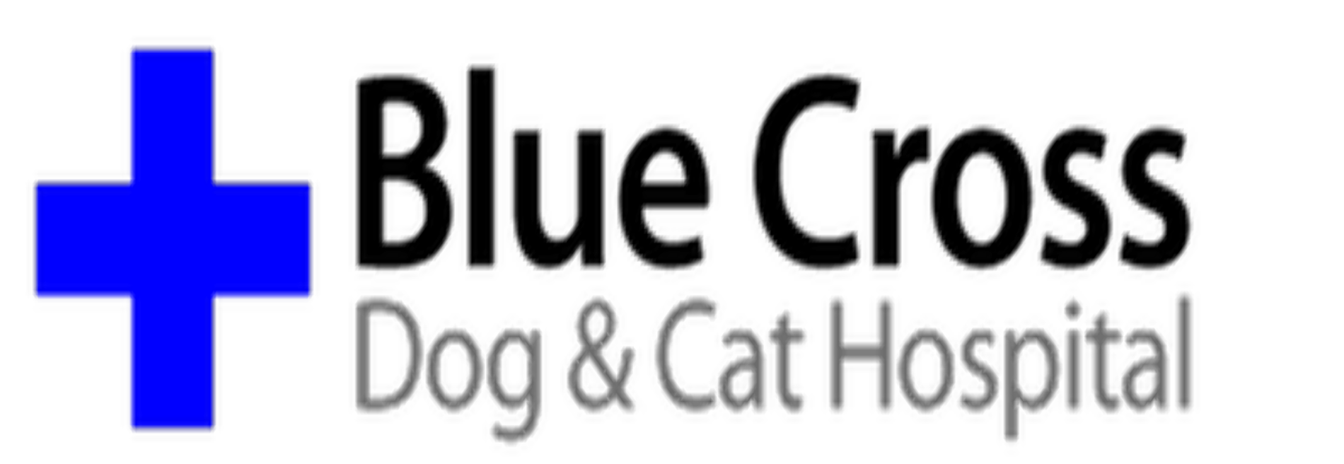 Blue Cross Dog & Cat Hospital - Paul P Sova DVM