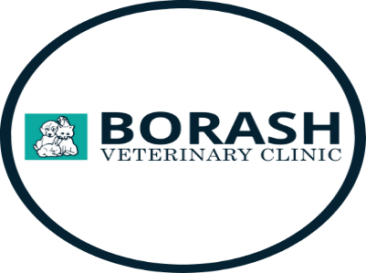 Borash Veterinary Clinic