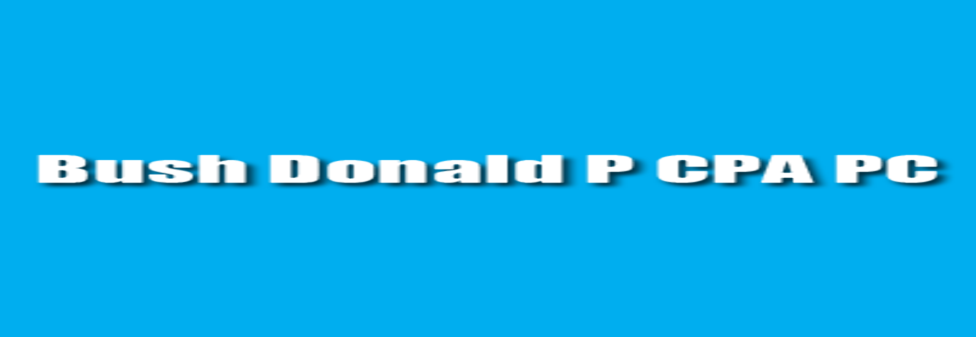 Bush Donald P CPA PC