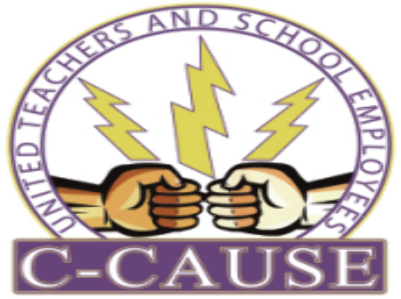 C-CAUSE