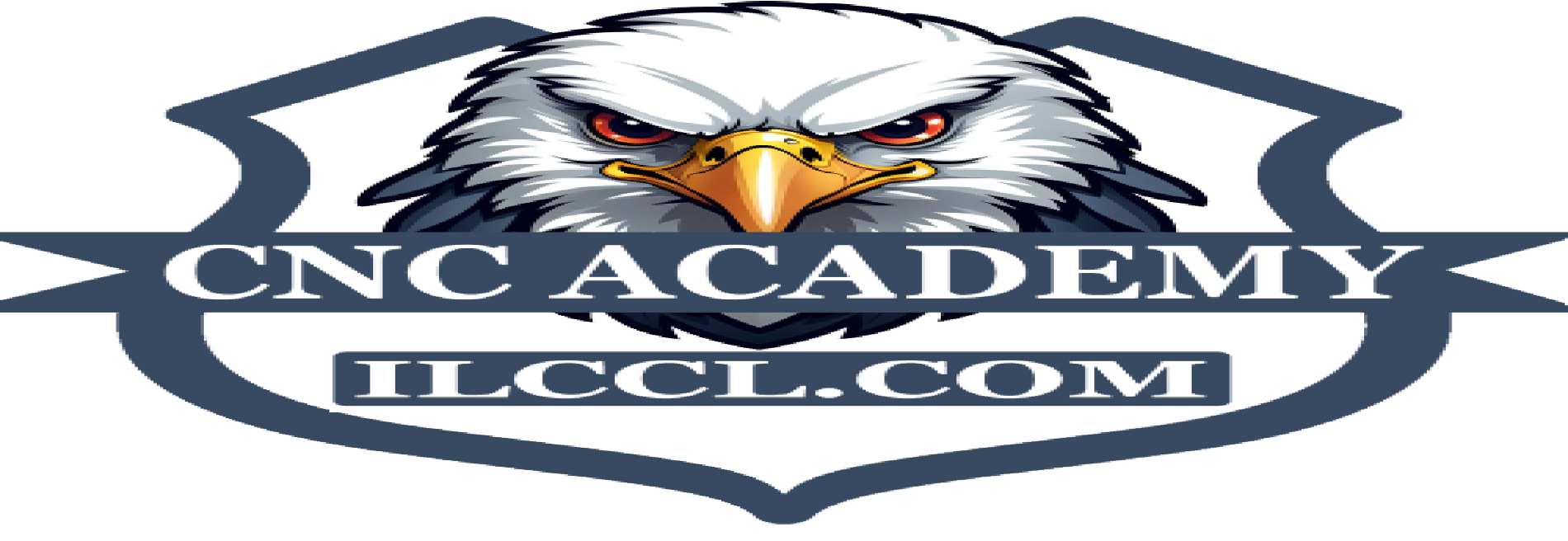 C-N-C Academy Concealed Carry Classes in Schaumburg IL