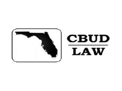 Carolyn N. Budnik, PLLC