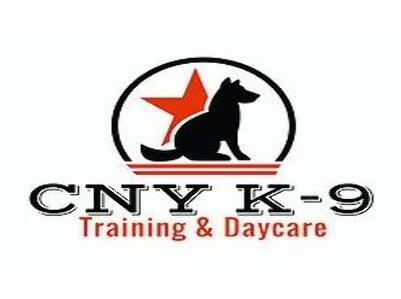 CNY K-9 Training & Daycare