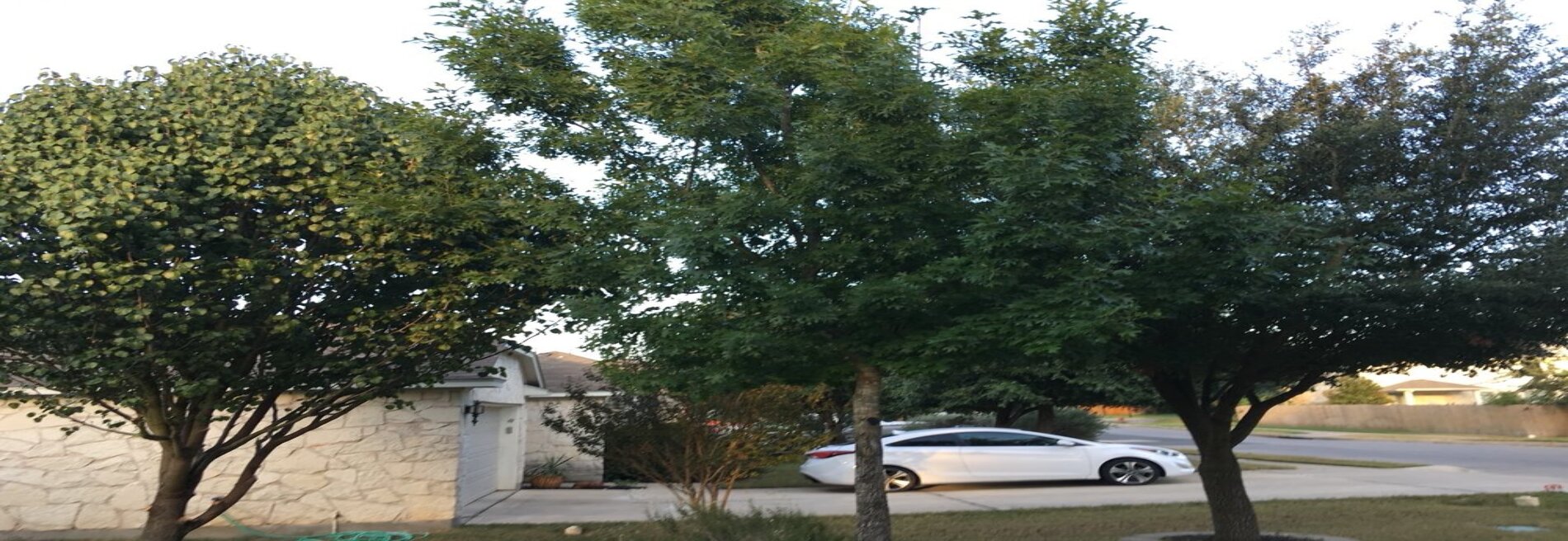 Cutpro Landscaping