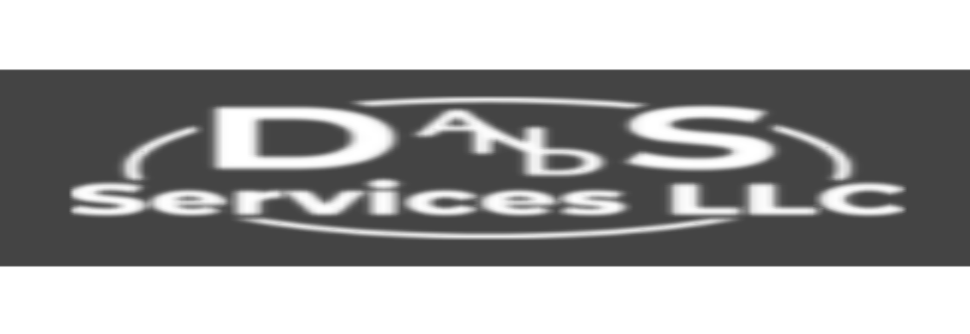 D and S Services LLC