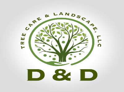 D & D tree Care and Landscape LLC