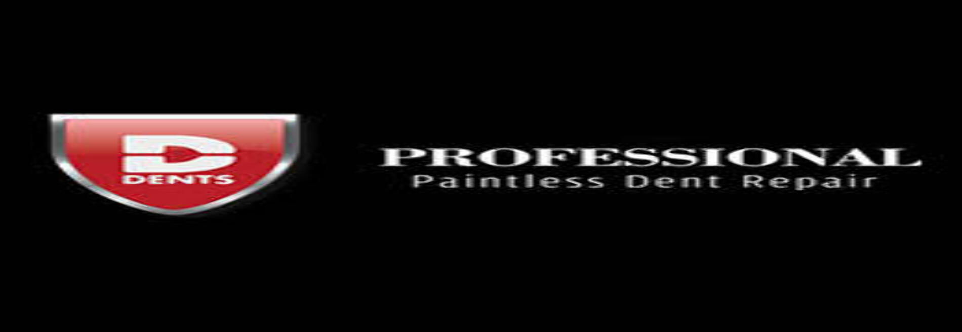 D Dents Professional Paintless Dent Removal