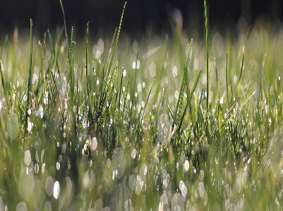 D&H Lawn & Garden Equipment