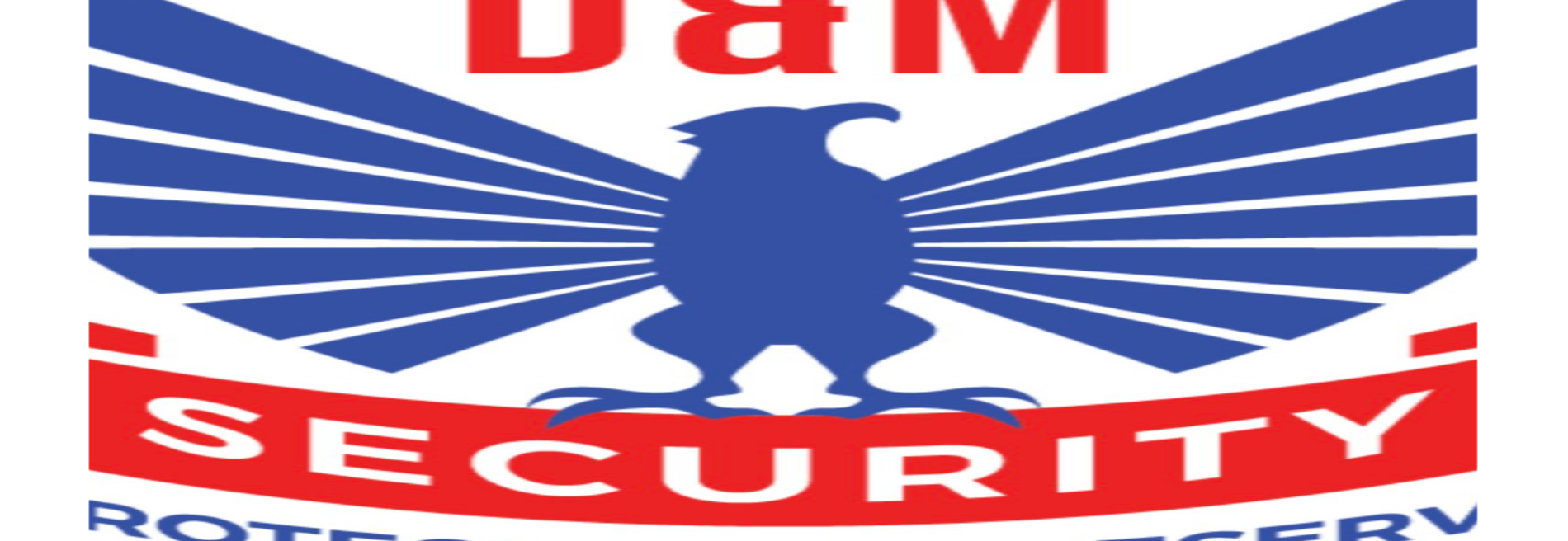 D & M Security
