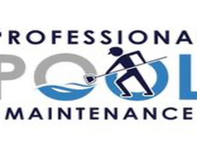 D &  N POOL SERVICES LLC