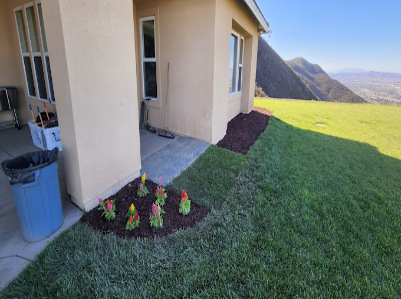 D&R Landscaping and More LLC