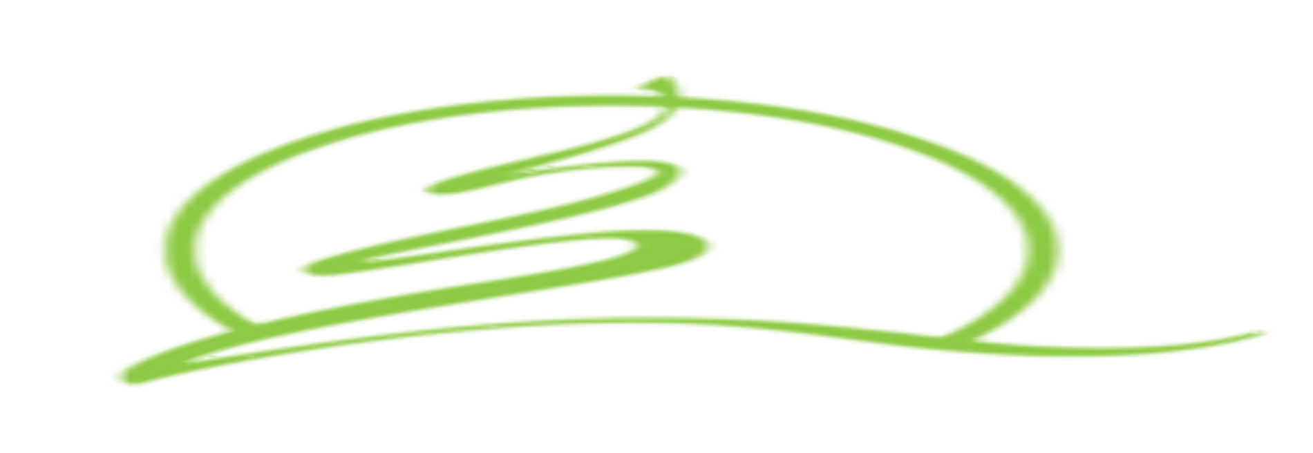 D & S Tree Service