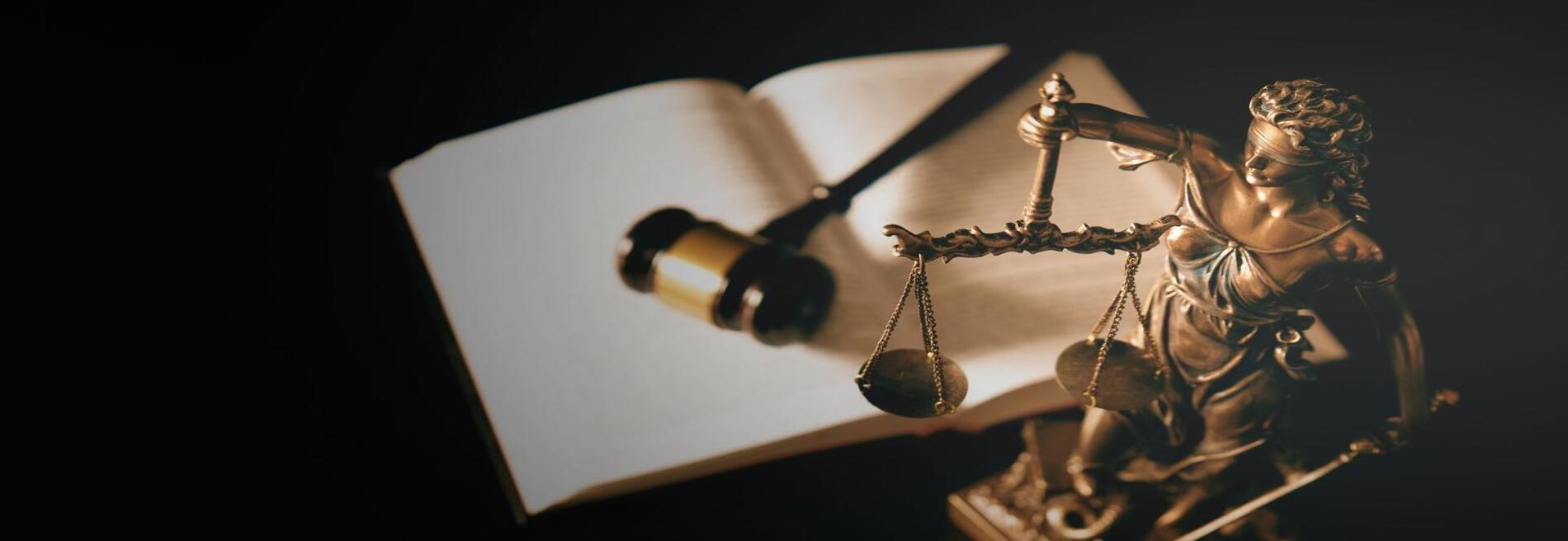 Daniel W. Willems, Attorney & Counselor at Law