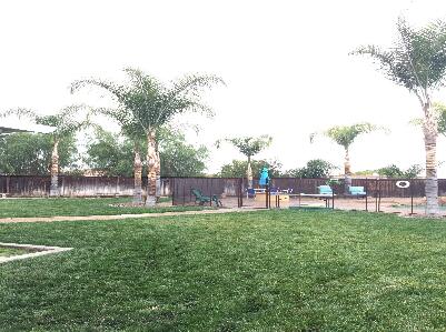 Danny's Landscaping
