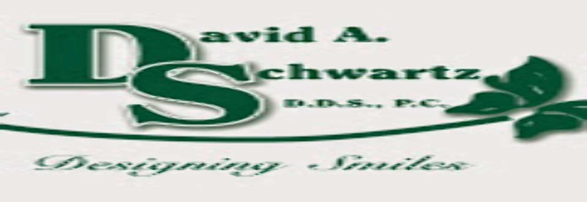 David A Schwartz DDS PC