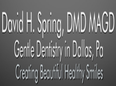 David H. Spring, DMD