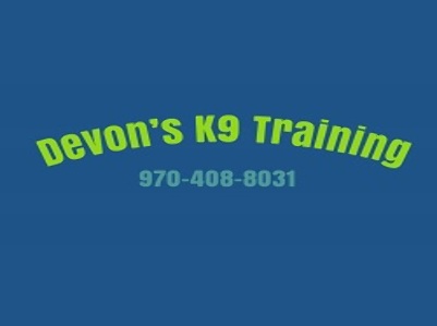 Devon's K9 Training LLC - Dog Trainer & Training S