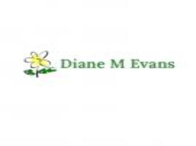 Diane M Evans DDS