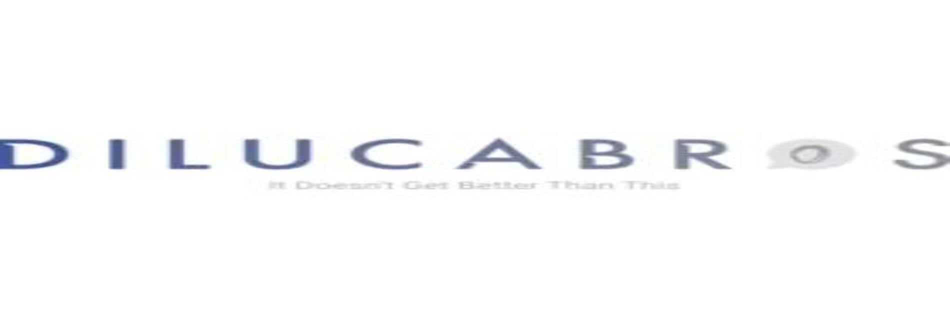 Dilucabros LLC