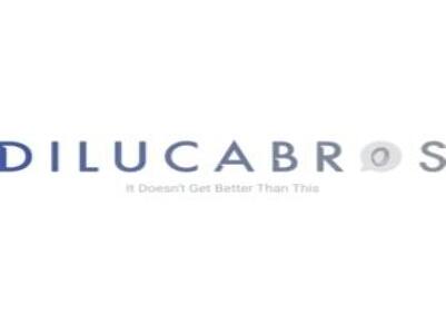 Dilucabros LLC