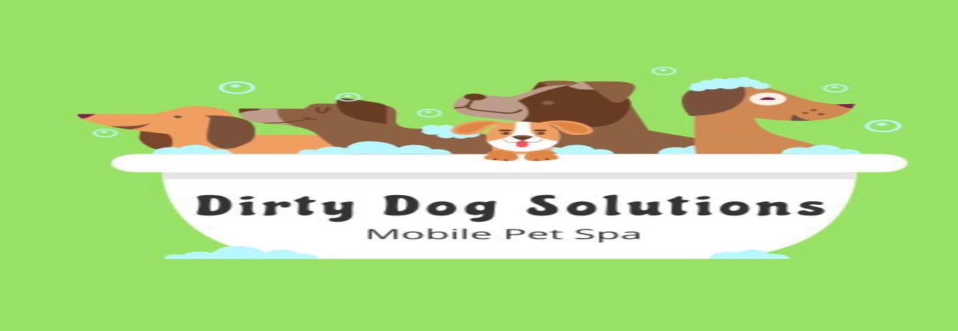 Dirty Dog Solutions