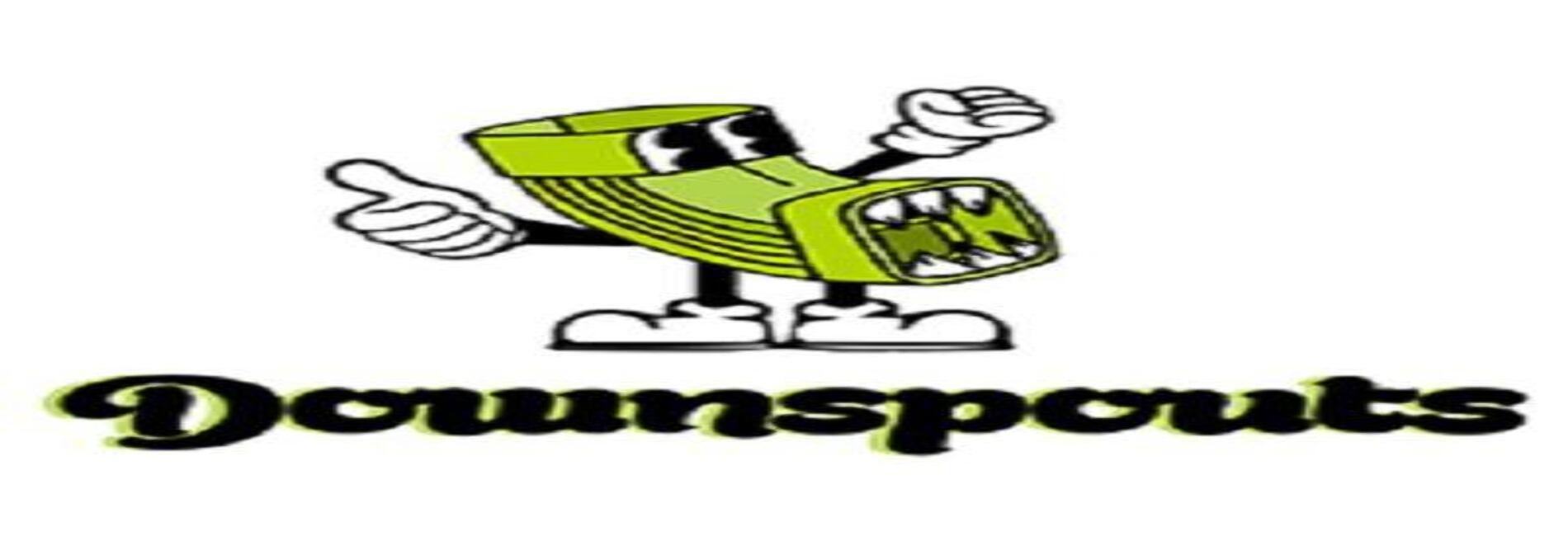 Downspouts LLC