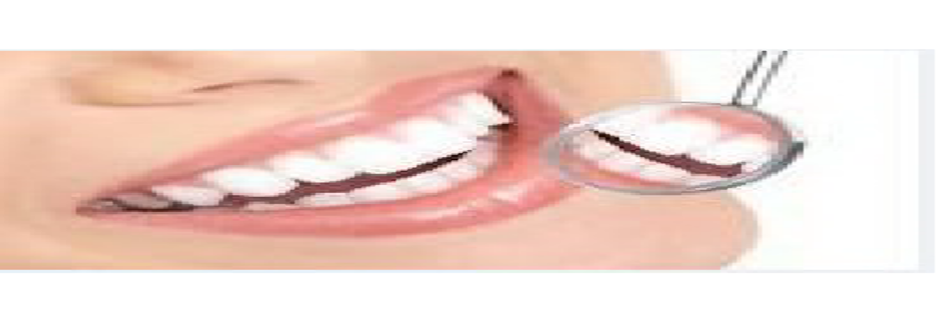 Dr. Michael D. Terveer, DDS