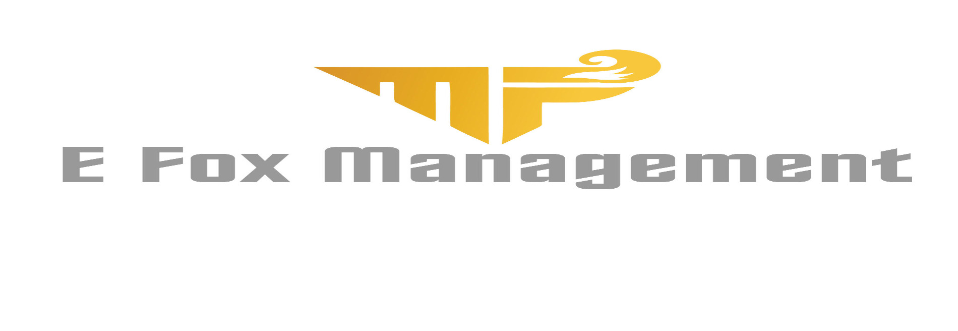 E FOX MANAGEMENT LLC