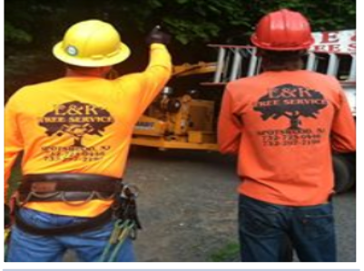 E & R Landscaping & Trees