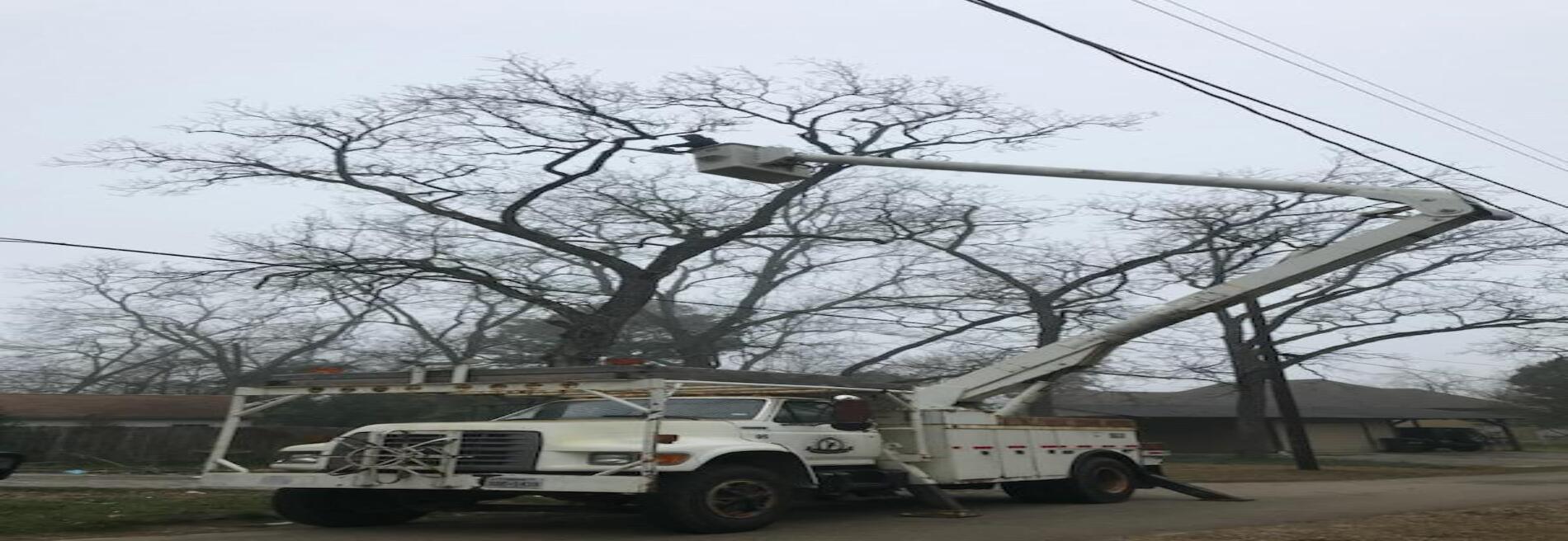 El Muchacho Alegre Tree Service