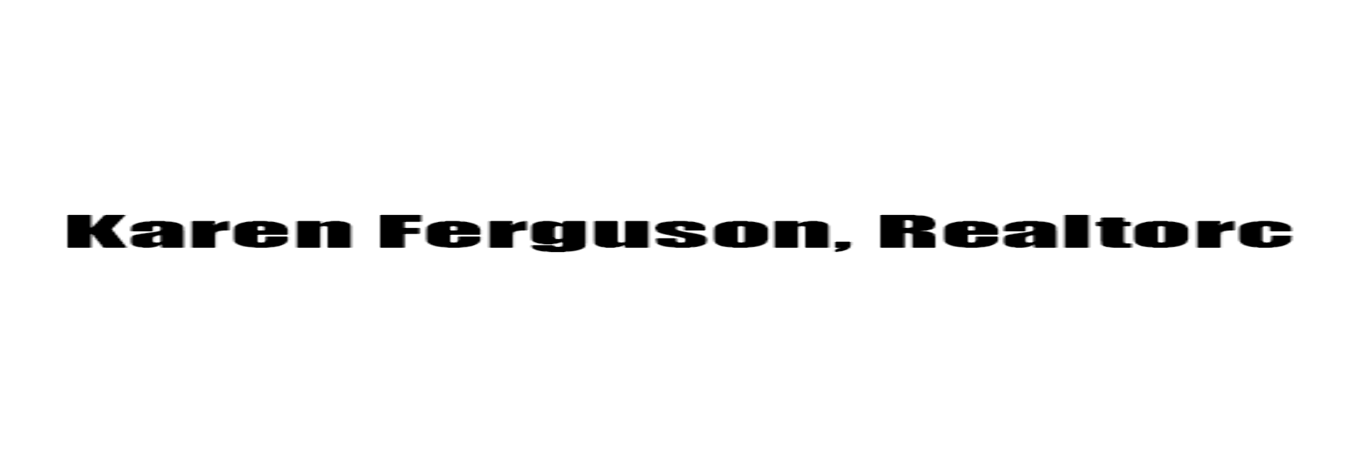 Ferguson Realty Team